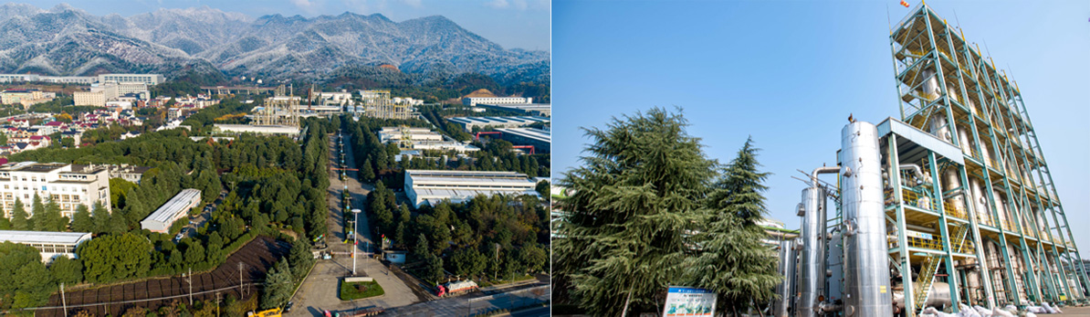 星空online(中国)