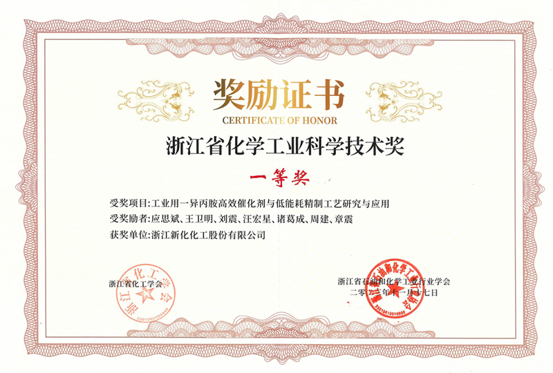浙江省化学工业科学技术一等奖